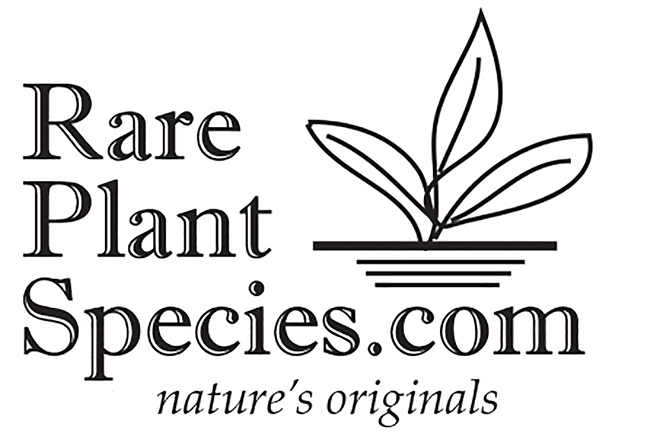 Rare Plant Species